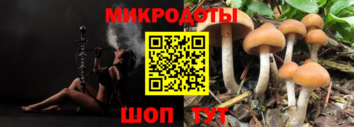 Аргун  Галлюциногенные грибы GOLDEN TEACHER  Вход с VPN 